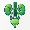 Kidney and bladder icon representing nephrology and urology care