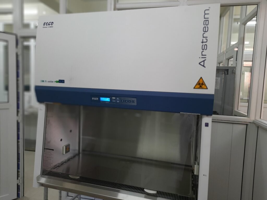 Biosafety Cabinet, the sterile equipment used when handling cells in a laboratory