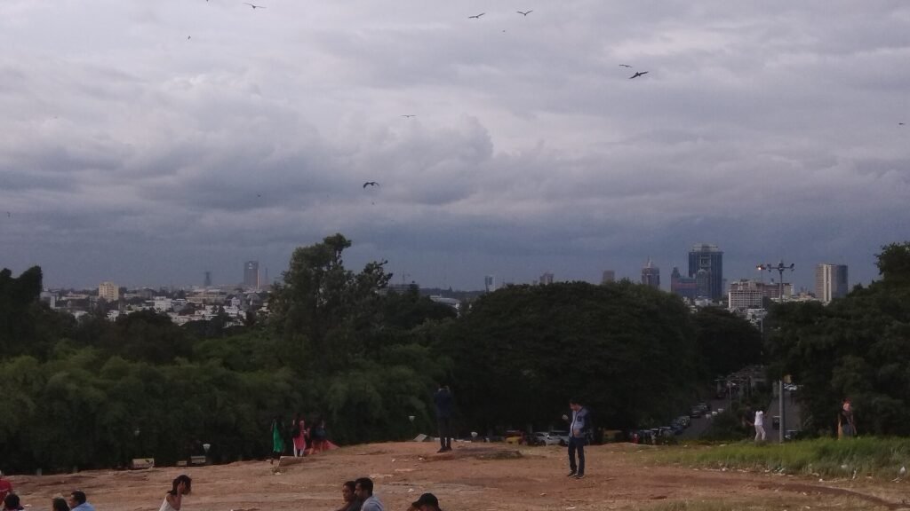 Bangalore Skyline from Lal Bagh, the city where families travel for specialist hospital care